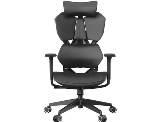 מנוע הצמיחה של סביבת העבודה שלכם: למה הכיסא הוא לב העניין