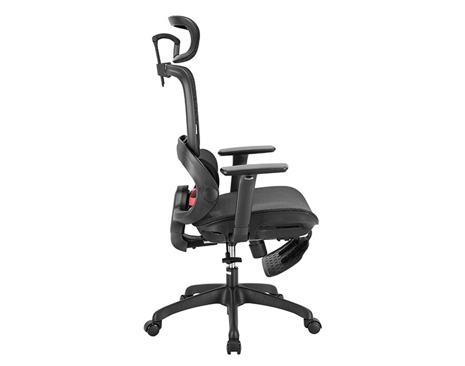 b100 black12