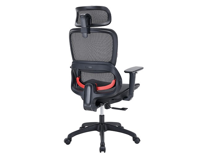b100 black6