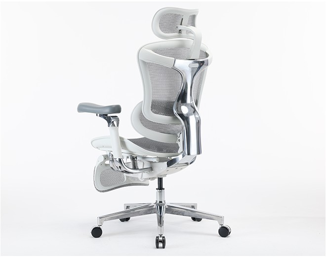 c500pro white pic9