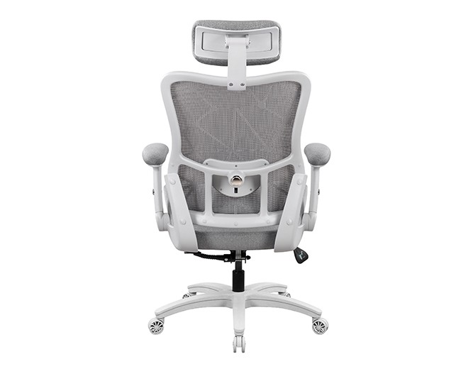 proback1150 pic2