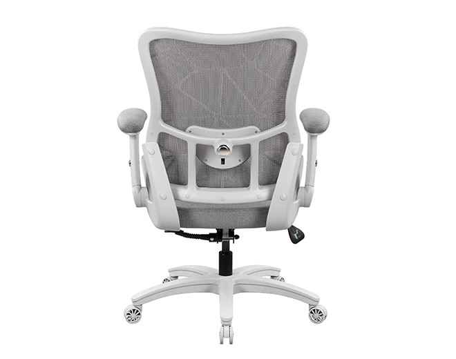 proback white4
