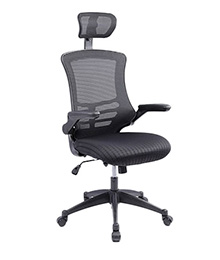 כסא משרדי אורטופדי PROBACK 250  black  כסא מנהלים/ות ארגונומי ואורתופדי  
