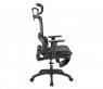 b100 black12