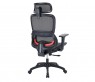 b100 black6